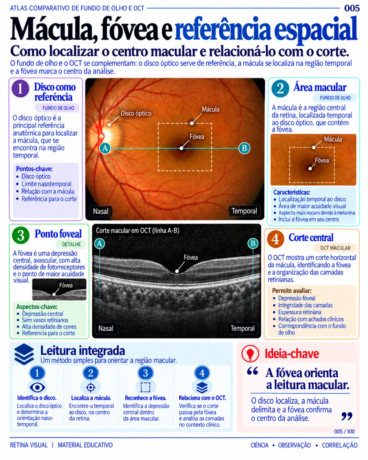 Amostra em português do material de Retina: Atlas Comparativo · página 5.