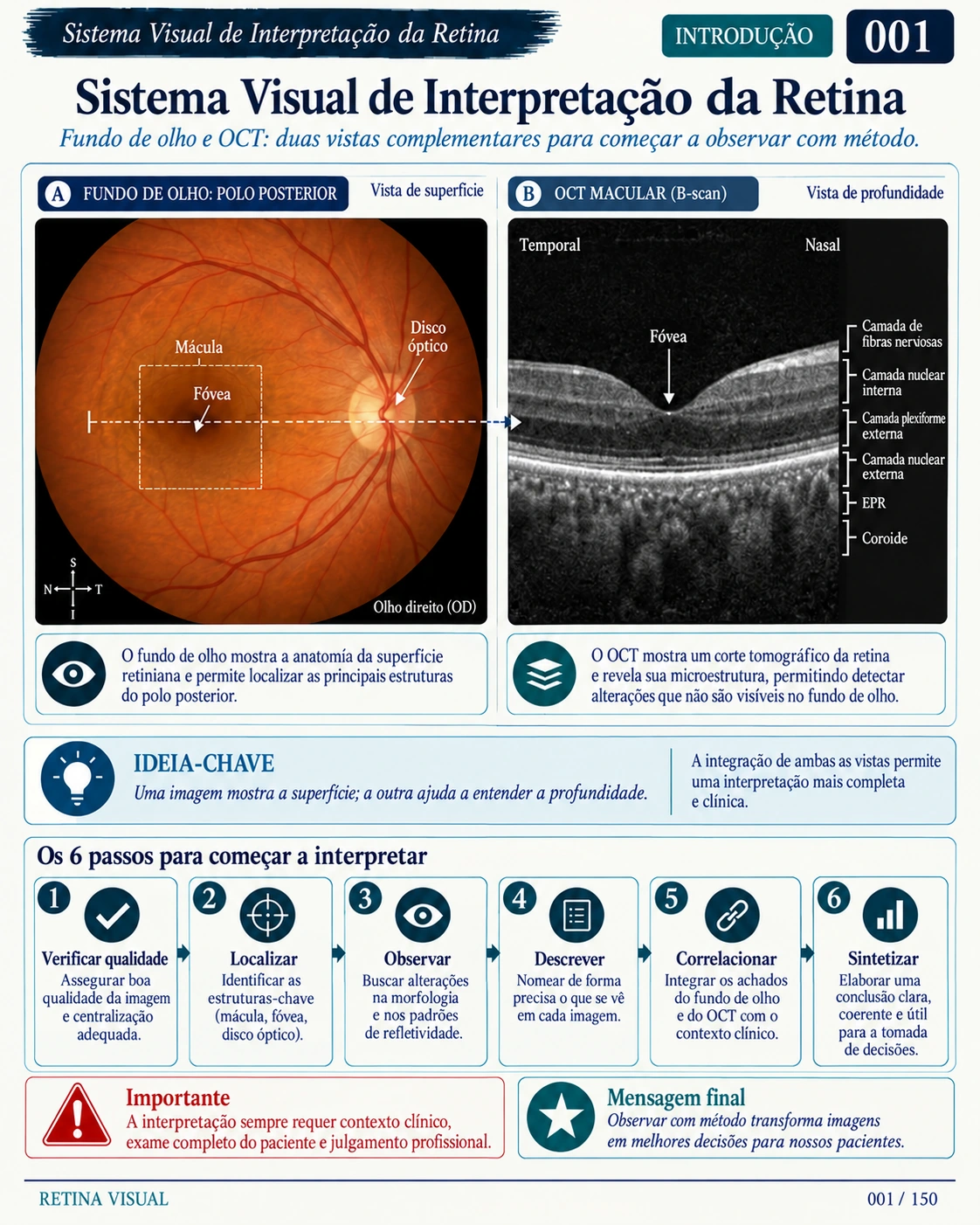 Amostra em português do material de Retina: Sistema Visual · amostra 1.