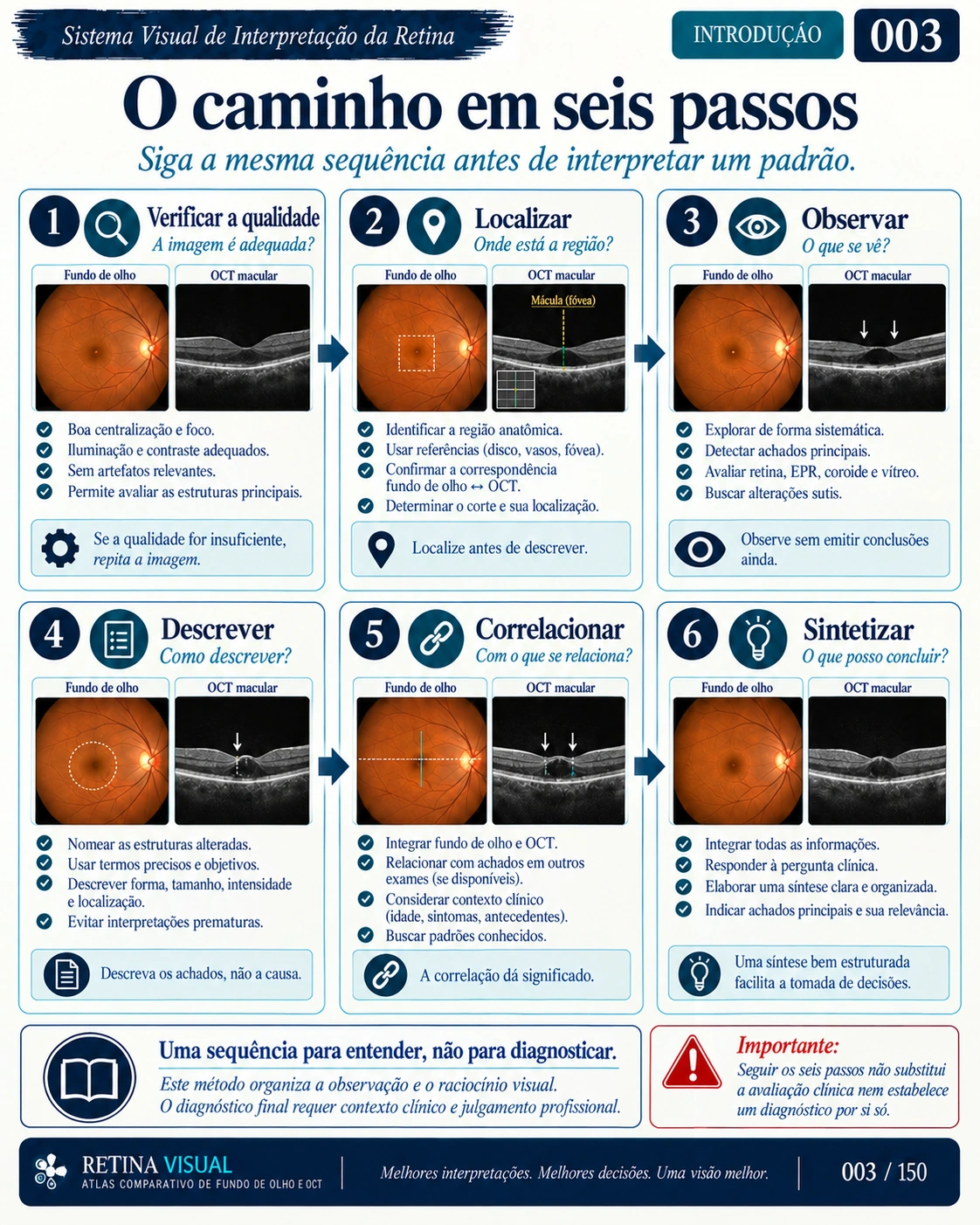 Amostra em português do material de Retina: Sistema Visual · amostra 3.