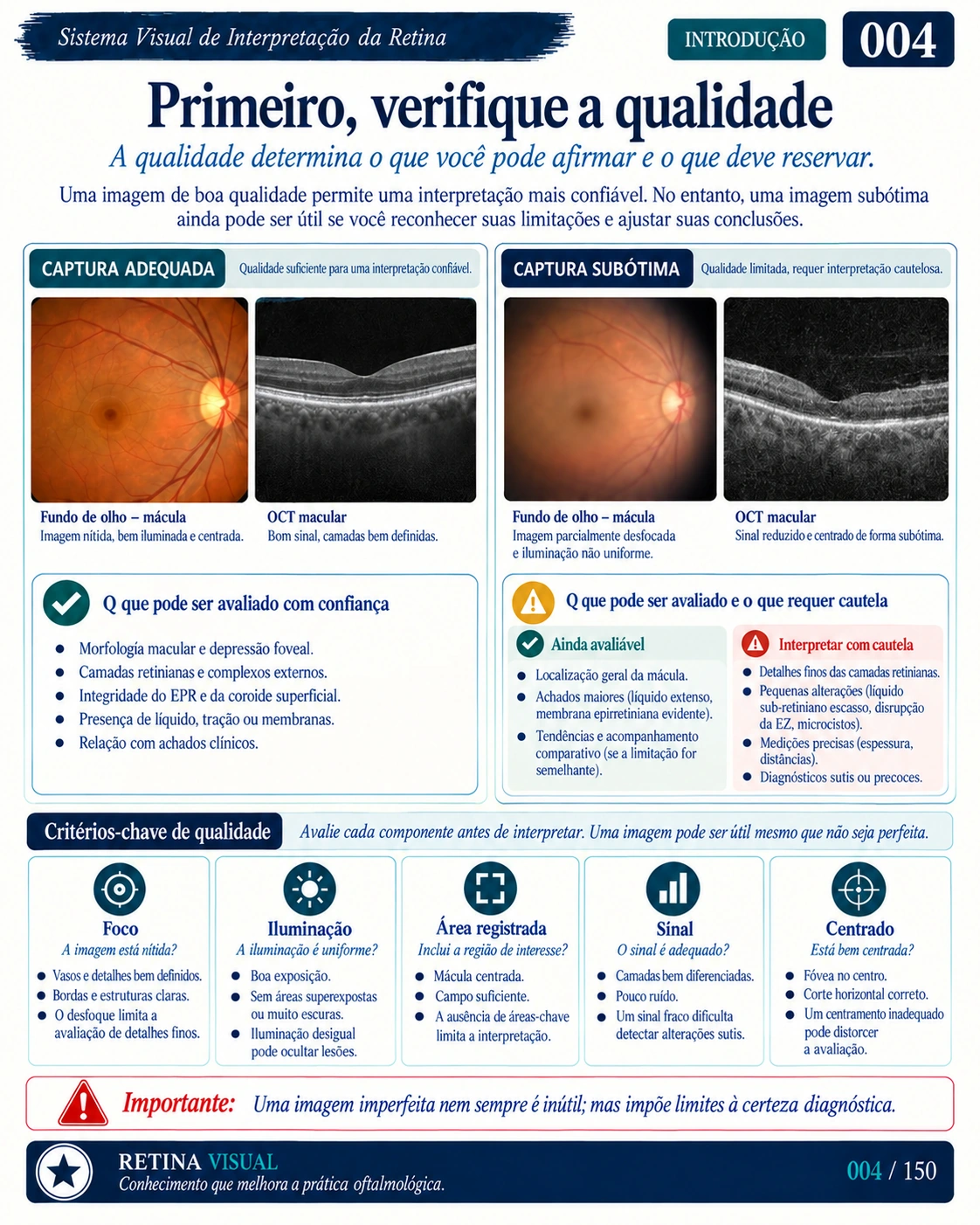 Amostra em português do material de Retina: Sistema Visual · amostra 4.