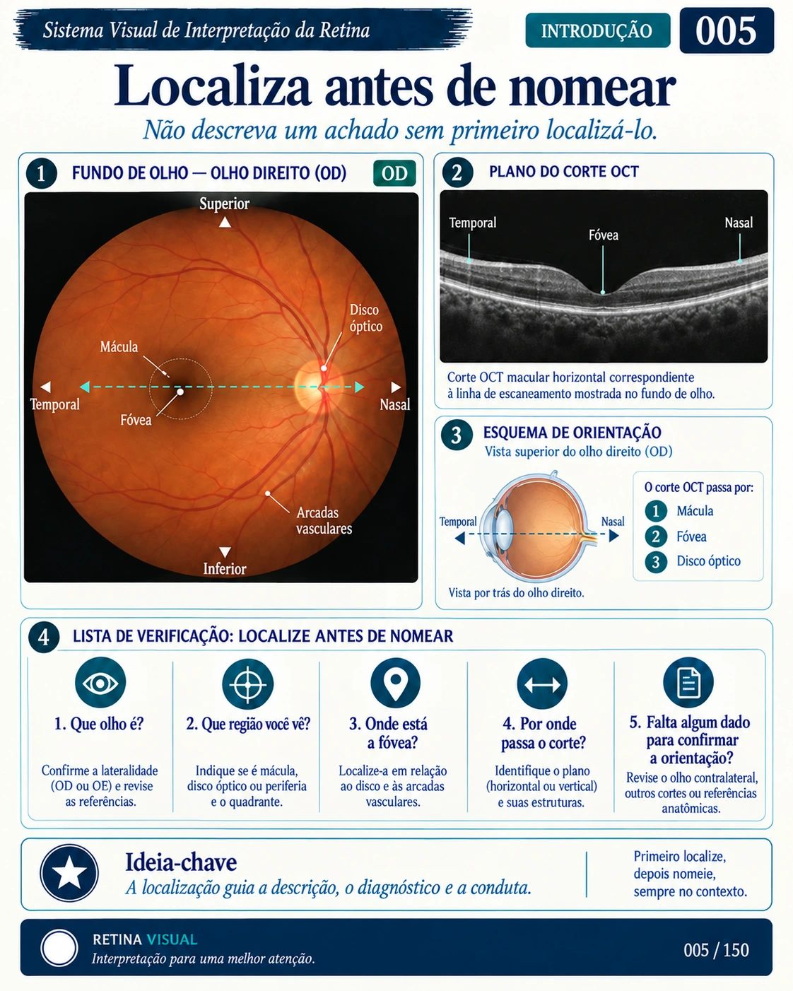 Amostra em português do material de Retina: Sistema Visual · amostra 5.