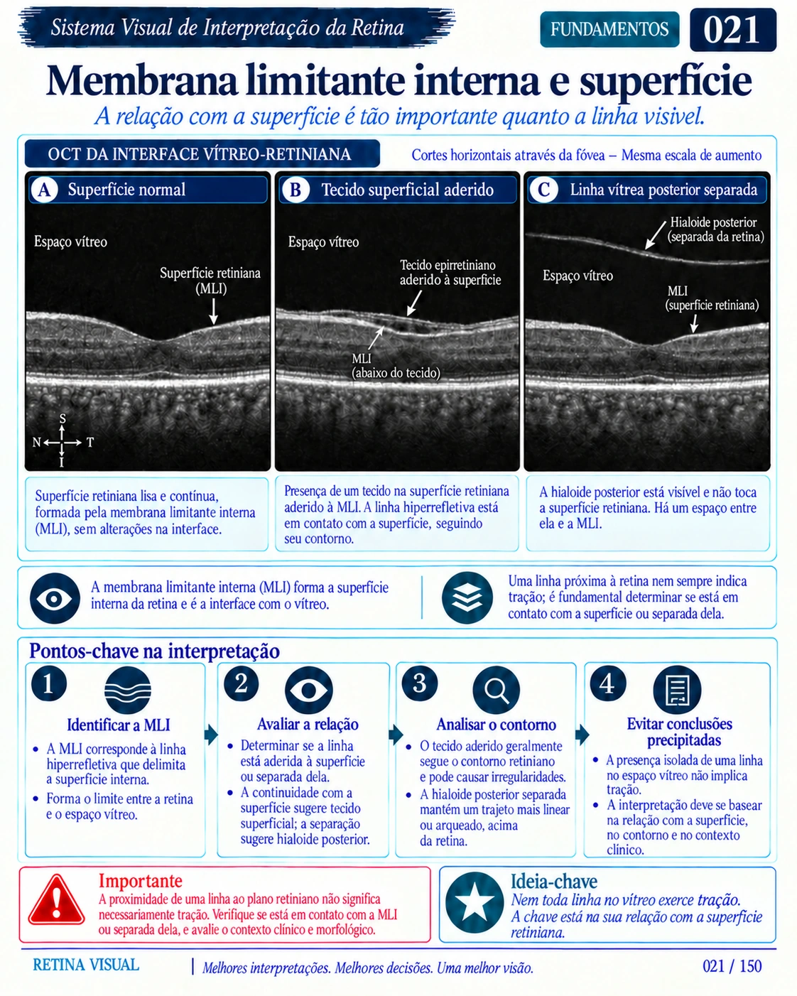 Amostra em português do material de Retina: Sistema Visual · amostra 8.